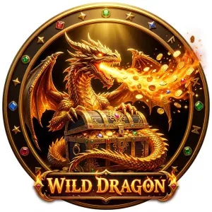魔龍傳奇